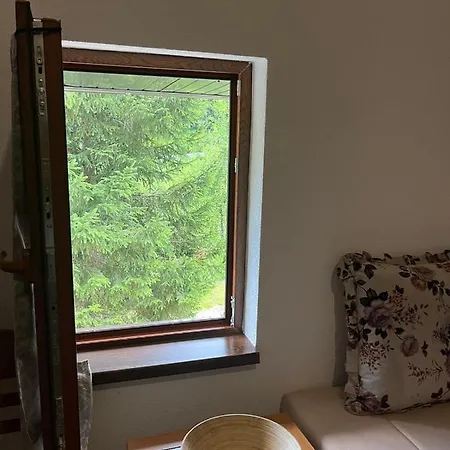 Studio Apartment Bihac